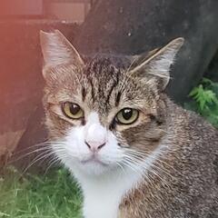 報告‼️普通に、触れるようになりました😊。ポンタ君の幸せ💞探し