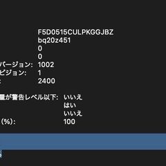 MacBook Pro（13インチ,M1,2020）256GB/16GB〈MYDA2J/A〉④の画像