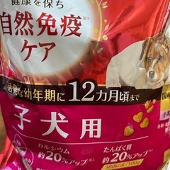 12ヶ月までのペットフード 子犬用 ビューティプロ の画像