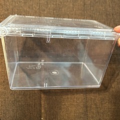 決まりました‼️ギラファノコギリクワガタ♡ペアの画像