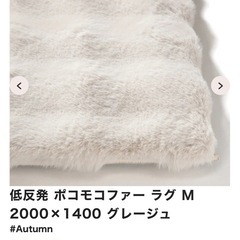 Francfranc フランフラン　ラグの画像