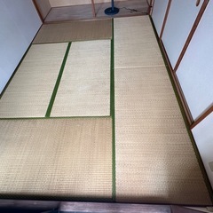 無料 畳（たたみ）6枚 カーペット／マット用途にも 