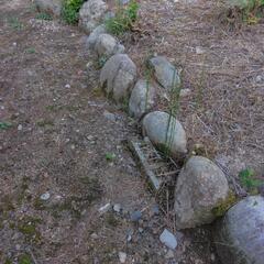 庭石の画像