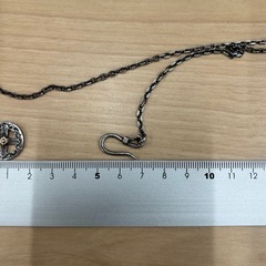 アリゾナフリーダム　ネックレスセットの画像