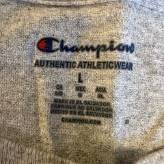 【良品】チャンピオン PACE UNIV 半袖Tシャツ カレッジT グレー Lの画像