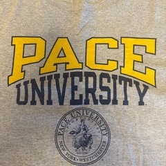 【良品】チャンピオン PACE UNIV 半袖Tシャツ カレッジT グレー Lの画像