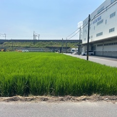 場所よし　羽島市上中町長間　300坪
