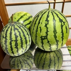 この商品人決まりました【小玉サイズスイカ まとめ売り】🍉の画像