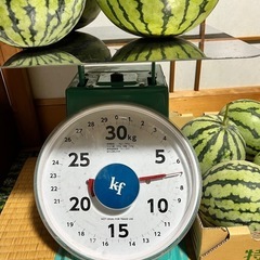この商品人決まりました【小玉サイズスイカ まとめ売り】🍉の画像