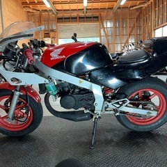 ホンダ NSR50 レーサー仕様の画像