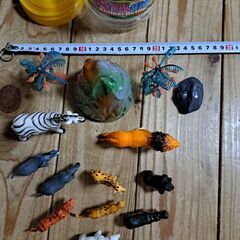 アニマルボトル 動物フィギュアセットの画像