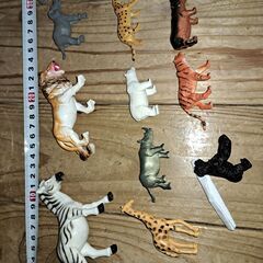 アニマルボトル 動物フィギュアセットの画像
