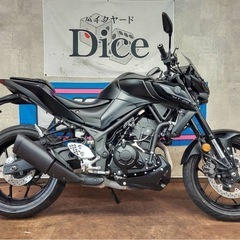 ★即乗りOK！　ヤマハ　MT-25　セル1発　実働車　現行モデル　初年度令和5年　8BK-RG74J　ABS　バイクの画像