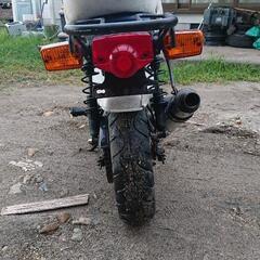 HONDA角目シャリーの画像