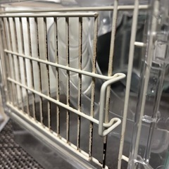 ケージ  の画像