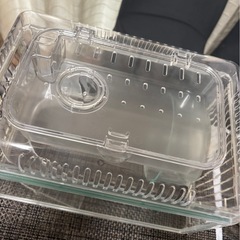 ケージ  の画像