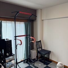 【取りに来られる方限定】懸垂機　チンニングマシン【９月中旬まで】の画像
