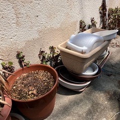 無料　植木鉢など色々の画像