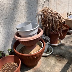 無料　植木鉢など色々の画像