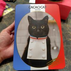 CACACAT缶2缶の画像