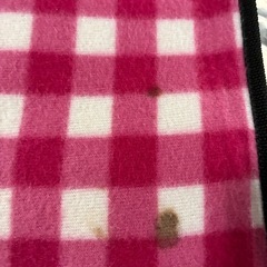 ブランケットの画像