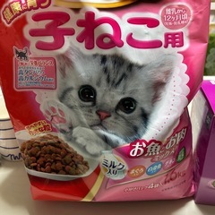 猫ちゃんグッズの画像