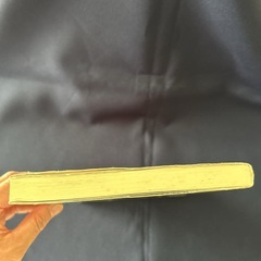 【国際文化論 】平野健一郎 東京大学出版会の画像