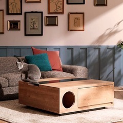 【猫飼い必見】ローテーブル 猫と暮らそう 強化ガラス使用 木製 国産 日本製 リビングテーブル センターテーブル  LOWYAの画像