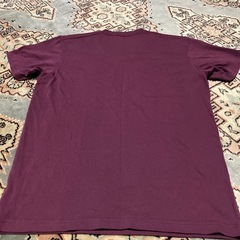 ユニクロのＴシャツの画像