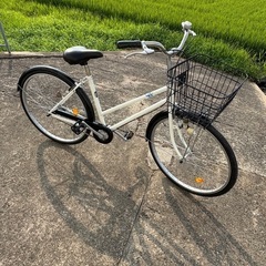 Canover CA-M1 61904 折りたたみ自転車、自転車バッグ付属