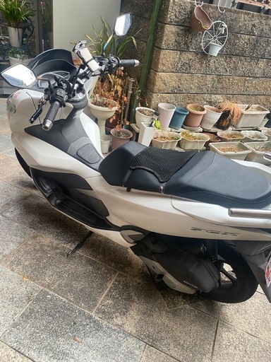 PCX125JF81セル1始動グリップヒーター