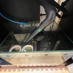 リーファー250 レッドシーの画像