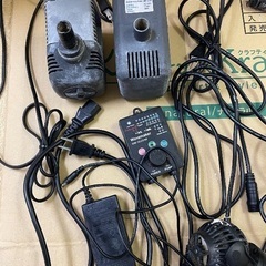 リーファー250 レッドシーの画像