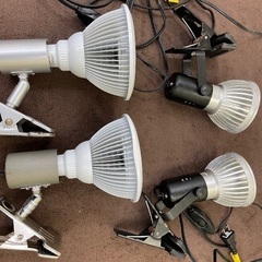 リーファー250 レッドシーの画像