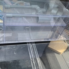 アクリル水槽　ワイド　600×450×450 上部濾過セットの画像