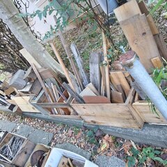 逗子 無料あげます 薪 木片 木材 角材 キャンプファイアー 焚火 ソロキャンプ 燃やす 日曜大工 工作 板材 板料 端材 DIY 棚材 角材 建築 ガーデン 木せん ブロック 建材 集成材 構造材 内装材 建具 燃料 木炭 燃料 木箱 差し上げます 大木 彫刻 オブジェ 木像 木っ端 ウッド WOOD 暖炉 ストーブ 木工 家具 自然木 抜根 倒木 丸太 テーブル 作る 組み立て まき たきぎ 枝 伐採 固形 木質燃料 ボイラー BBQ バーベキュー 切り株 キャンプファイヤー 燃焼 荒材 桜 版画の画像