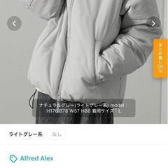 美品 Alfred Alex ライトグレー ジャケット ジャンバーの画像