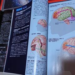 Newton(ニュートン）雑誌 10冊セットの画像