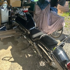 ヤマハドラスタ250の画像