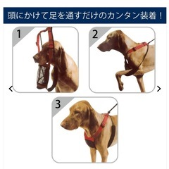 引っ張り癖のある犬用　メッシュハーネスの画像