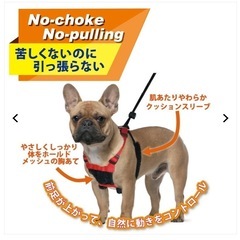 引っ張り癖のある犬用　メッシュハーネスの画像