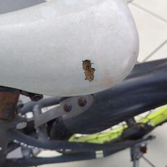 16インチ　男の子　自転車の画像