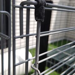 屋根付き犬用ケージ(ご希望でペット用クッションフロアも)の画像