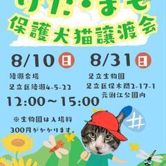 🐱ワンサカ出場！けだまも保護猫譲渡会🐱