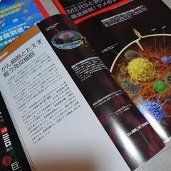 Newton(ニュートン）雑誌 8冊セットの画像