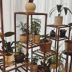 観葉植物棚の画像