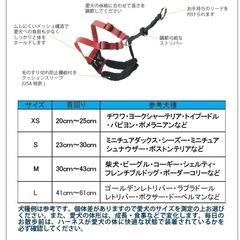 引っ張り癖のある犬用　メッシュハーネスの画像