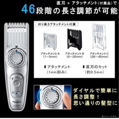 パナソニック ヘアカッター バリカン ショートヘア対応 充電・交流式 シルバー調 ER-GC74-Sの画像