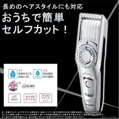 パナソニック ヘアカッター バリカン ショートヘア対応 充電・交流式 シルバー調 ER-GC74-Sの画像