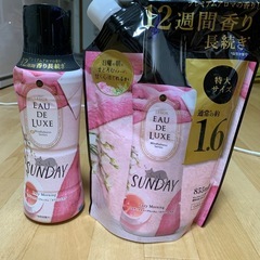 オードリューサンデービーズ本体と詰め替え用セットの画像